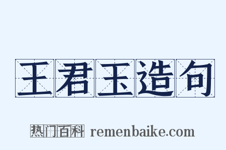 王君玉造句是什么意思的图片